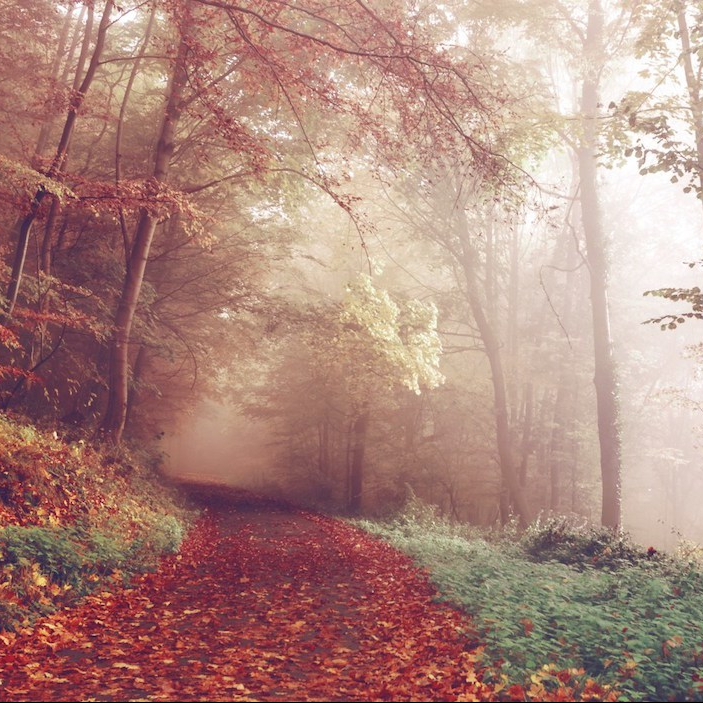 En el monólogo somos tod@s