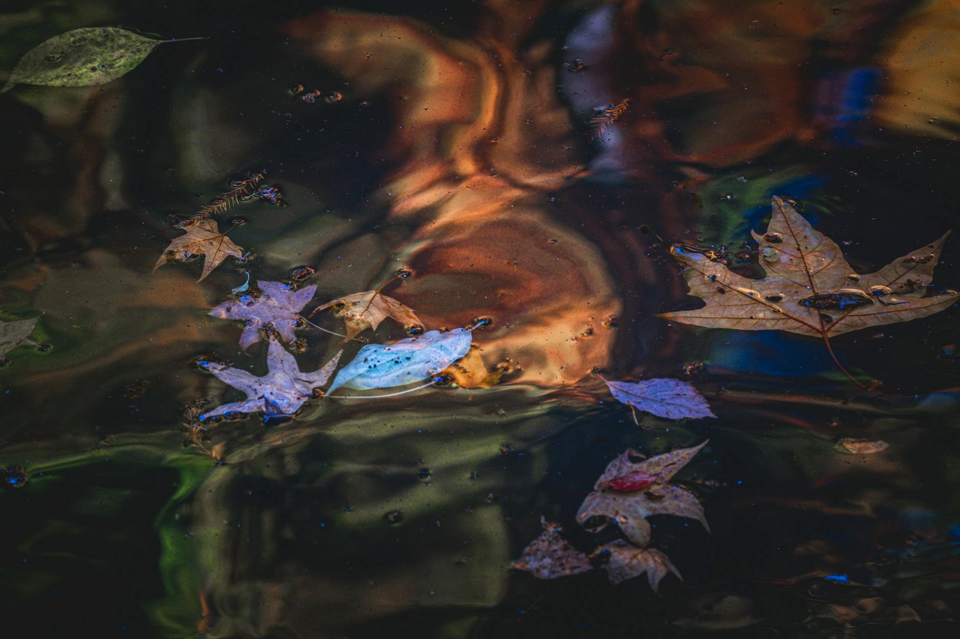 La lectura como diálogo